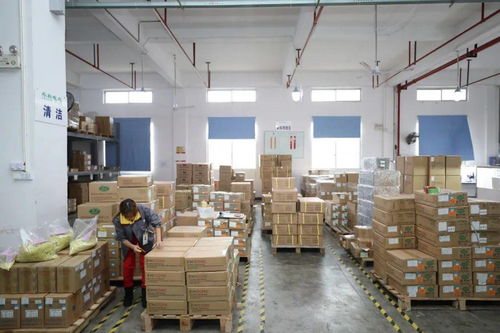 家門口的機遇 賓陽電子廠招工，提供食宿，探索互聯網銷售新方向